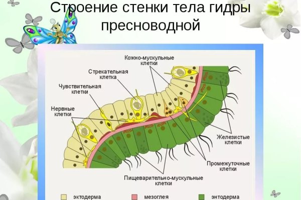 Кракен как войти