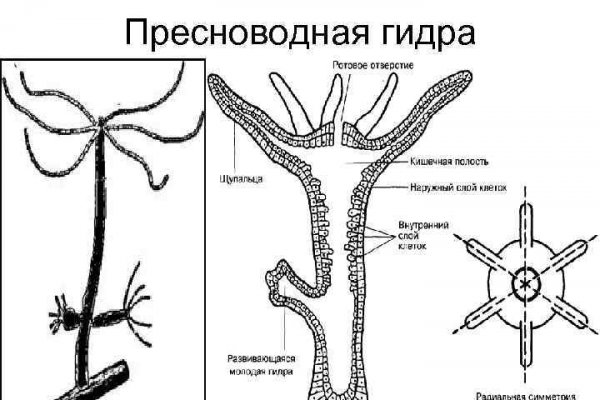 Гидра альтернатива