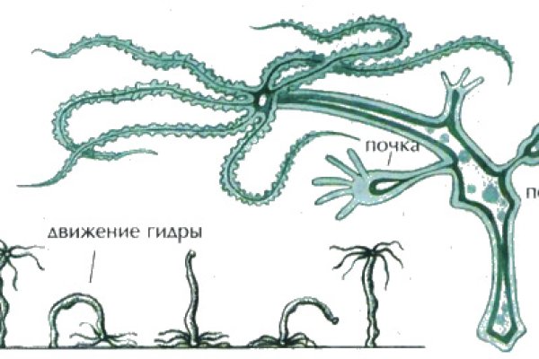 Kraken onion зеркала 2024