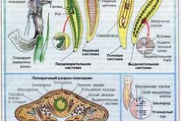 Как пополнить кошелек кракена